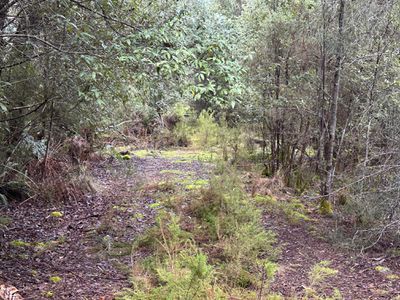 711 Judds Creek Road, Judbury