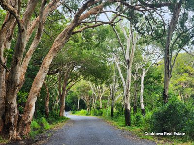 91 Boundary Street, Cooktown