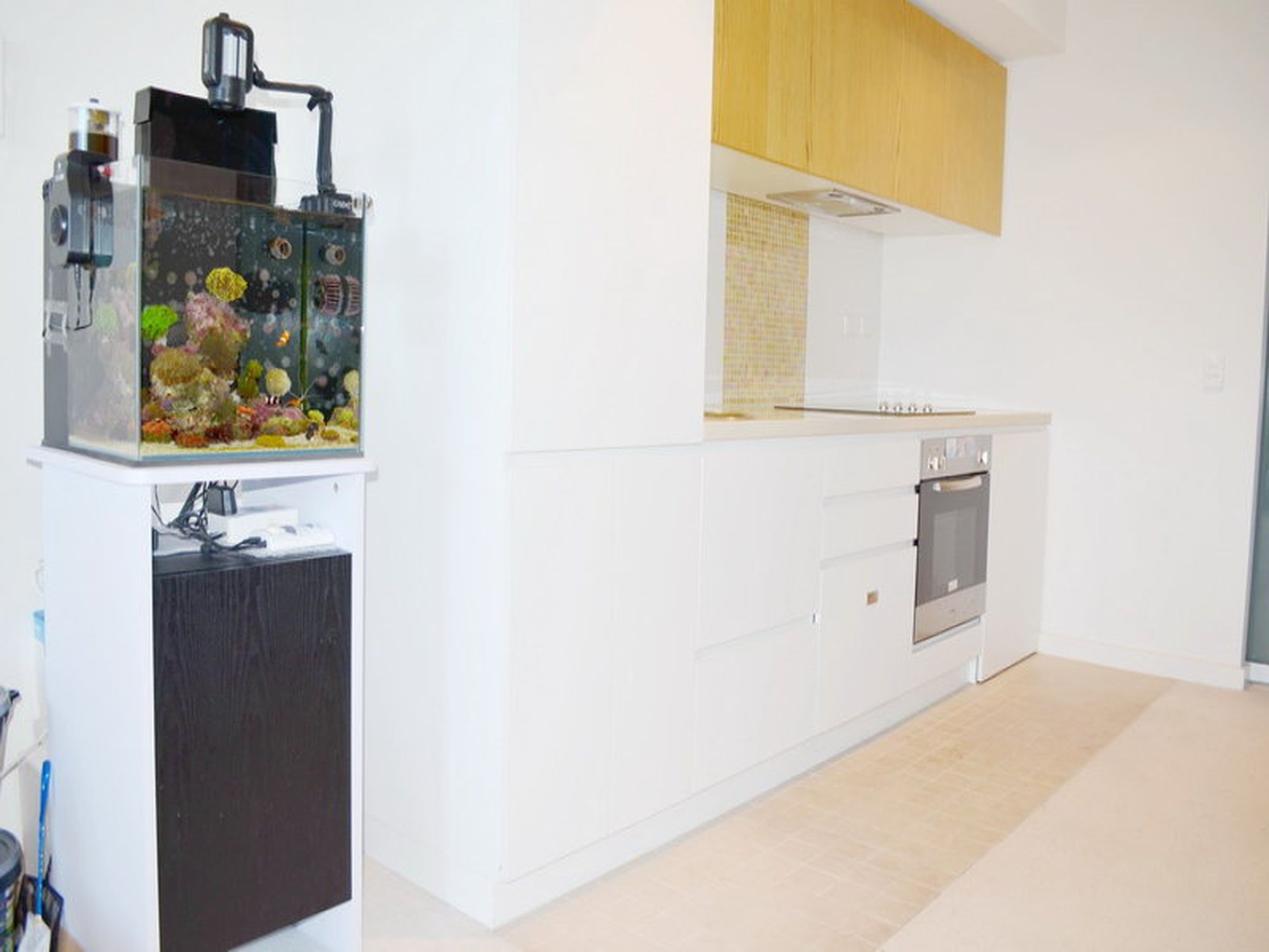 307 / 10 Balfours Way, Adelaide