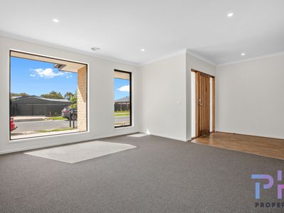 8 Eucalyptus Street, Jackass Flat