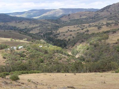 1735 The Bridle Track, Bruinbun
