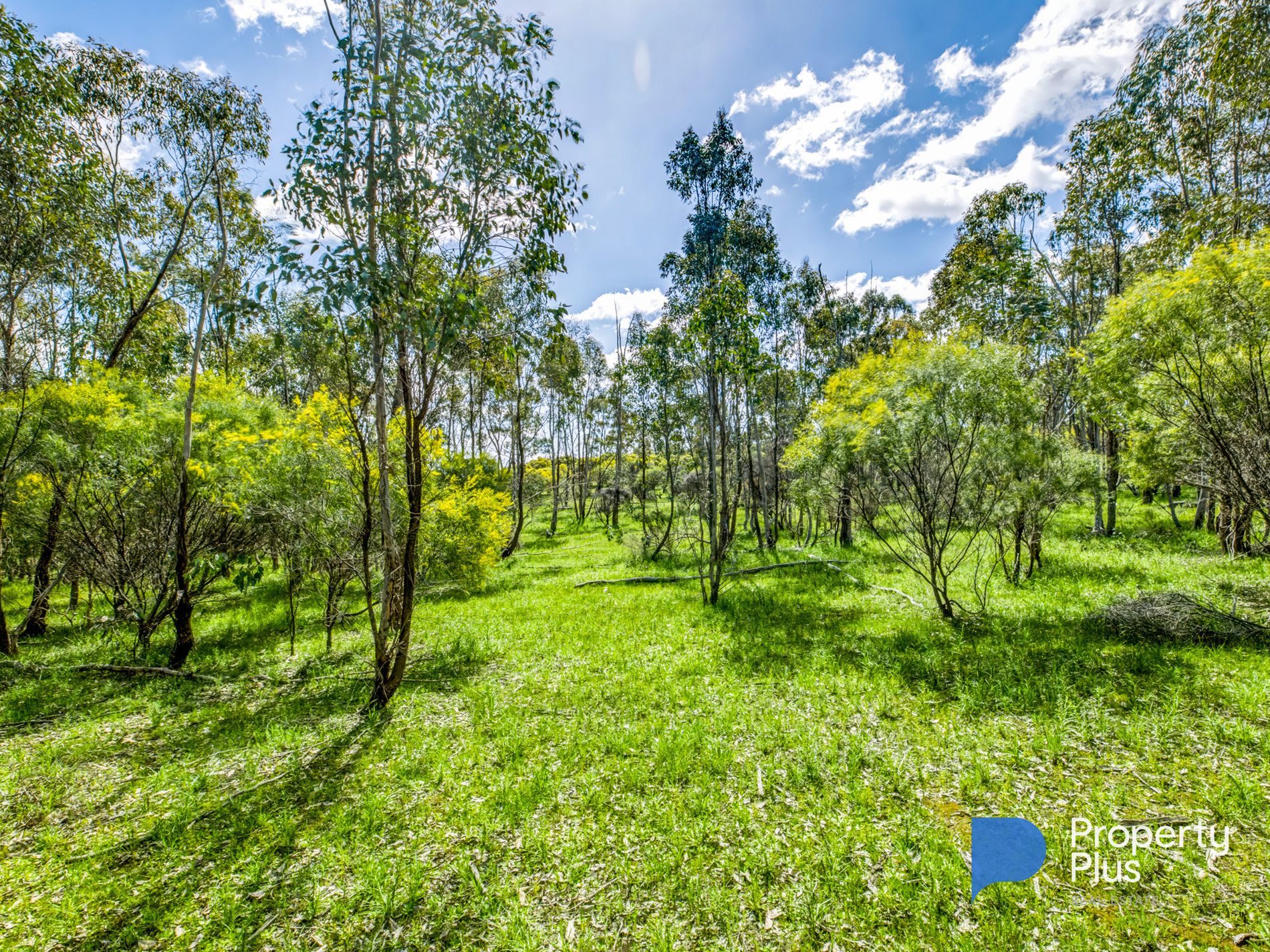 282 OBriens Drive , Mcintyre