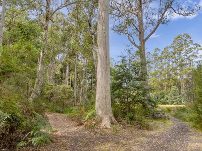 58 Pottery Road, Garden Island Creek