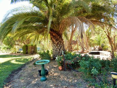 314 River Road, Murrabit