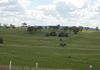 * Boomey Stud Shades Creek Block - Euchareena Road, Molong