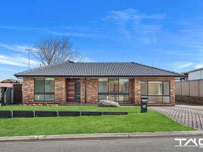 61 Pine Creek Circuit, St Clair