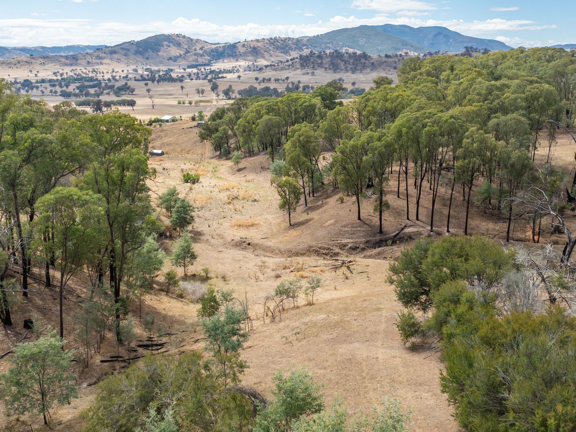 Lot 2 Shelley Road, Walwa