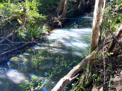 694 Pipeclay Road, Pipeclay