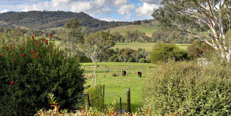 1751 Euroa Mansfield Road, Euroa