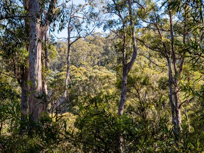 Lot 2 and 3, Kubes Road, Petcheys Bay