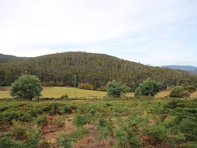 Lot 16 Waggs Gully Road, Ranelagh