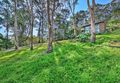 3 Utingu Place, Bayview