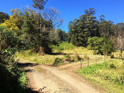 1 / 818 Blue Knob Road, Nimbin
