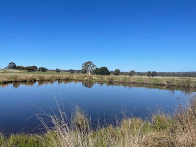 Lot 1 Longwood Ruffy Road , Ruffy