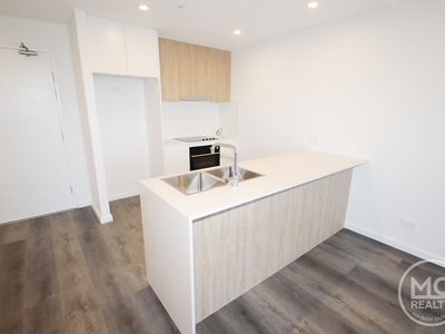 310 / 11 Raphael Street, Lidcombe