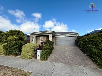 81 Oceania Drive, Curlewis