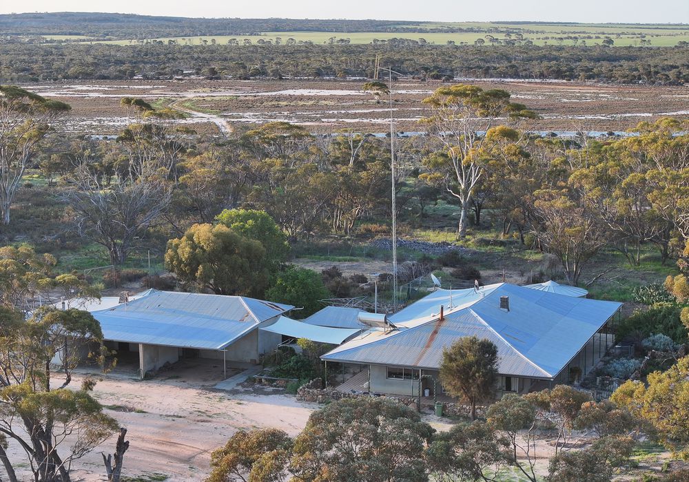'Kamdarley' & 'King View', Hyden