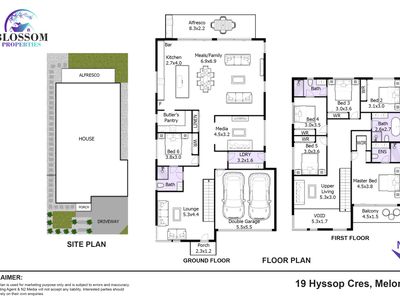 19 Hyssop Crescent, Marsden Park