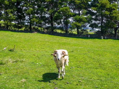 30 Judds Hill Road, Geeveston