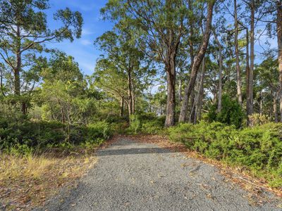 287 Esperance Coast Road, Brooks Bay
