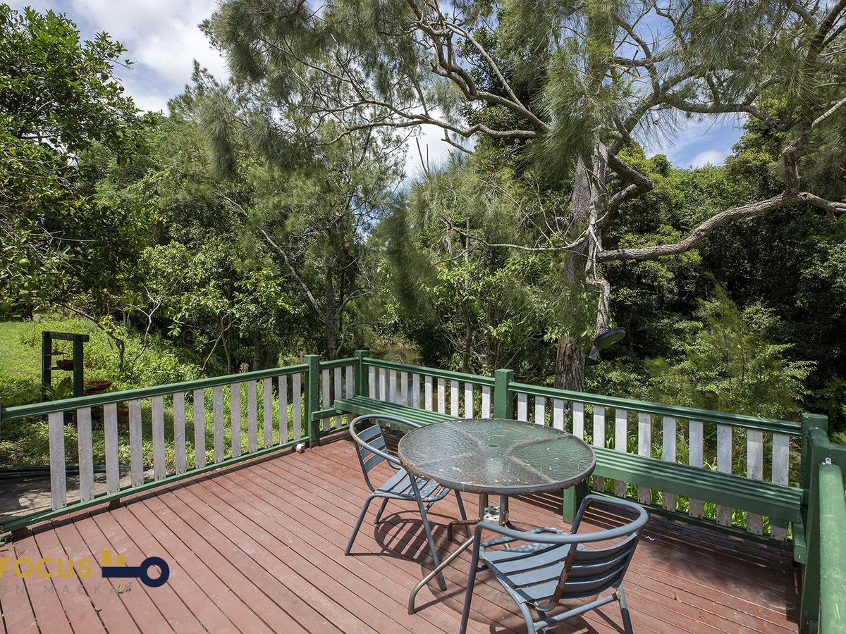 114 East Funnel Creek Road, Sarina Range