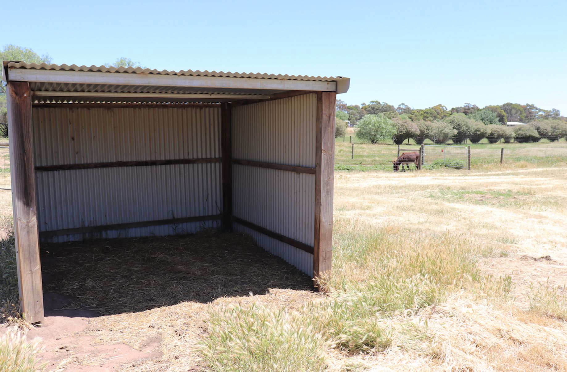 56 CEMETERY ROAD, Inverleigh