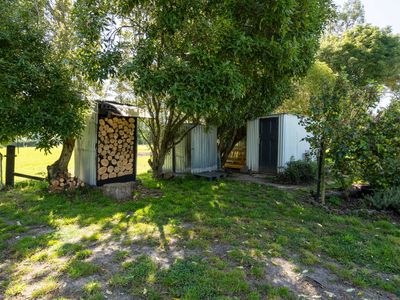 907 Tuapeka Mouth Road, Tuapeka Mouth