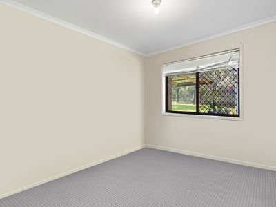 11 Anchusa Street, Kingston