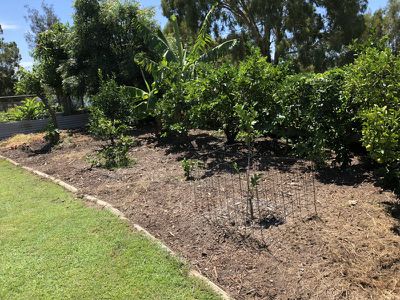 27 Coral Sea Dr, Woodgate