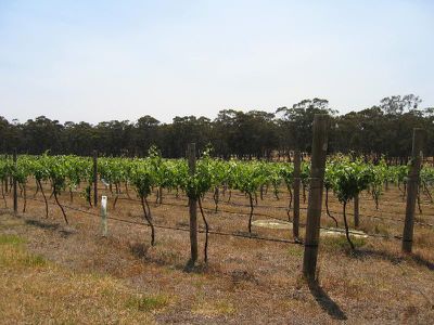 00 Rowbottoms Track, Heathcote