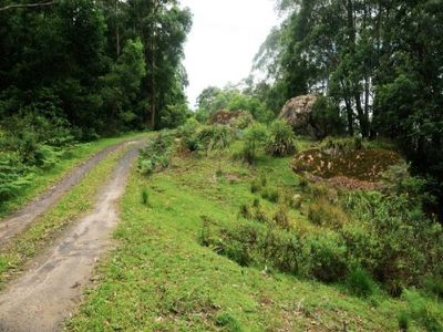 673c Tallowa Dam Road, Kangaroo Valley