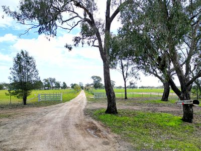 'Burnside' 1009 Howlong-Balldale Road, Balldale