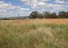 Lot 101, 2187 Euchareena Road, Molong