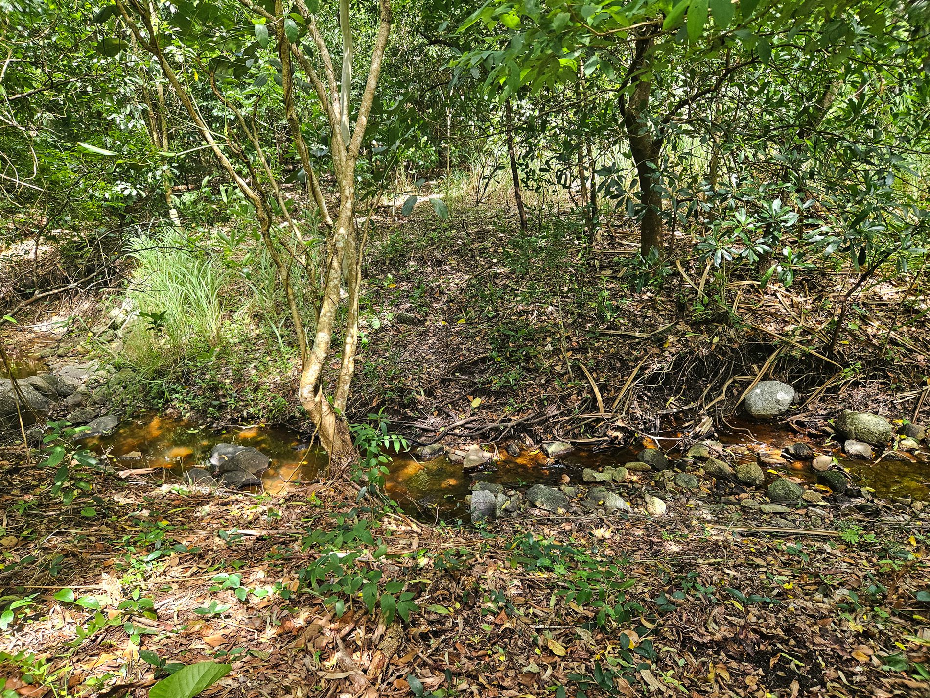 6 Milman Street, Cooktown