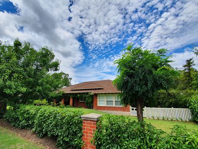 59 Tamworth Street, Dubbo
