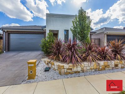 11 Annie Douglas Street, Casey