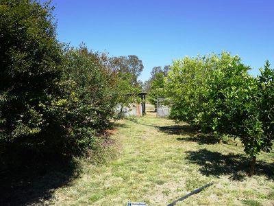 37 Villella Road, Tolga