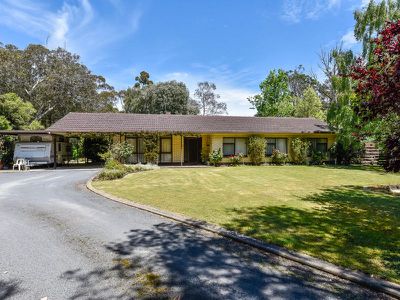 167 Williams Road, Millicent