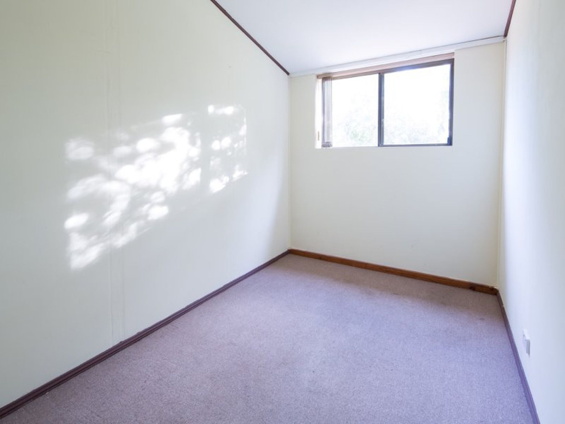 19 Salvador Street, Flagstaff Hill