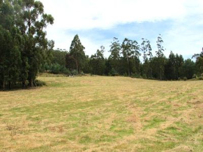 Huon Highway, Dover