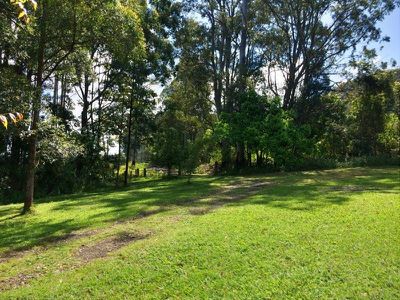 499 Blue Knob Road, Nimbin