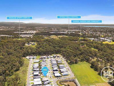 17 Glenelg Avenue, Wadalba