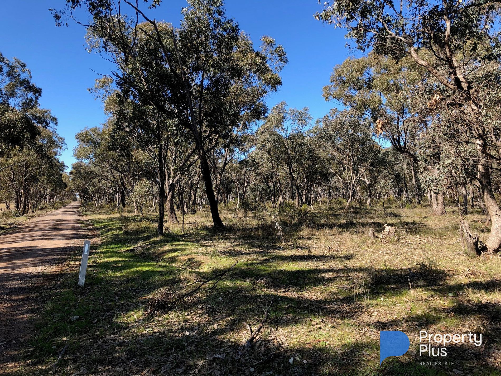 Lot 18 & 19, Derby Road, Campbells Forest