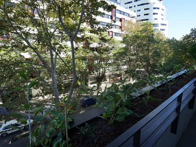 5 / 350 Bourke Street, Surry Hills