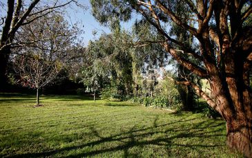 47 Woods Street, Beaconsfield