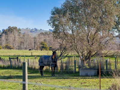 545 Mt Buller Road, Mansfield