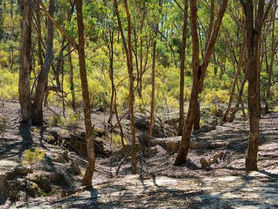 Lot 4 McNutts Lane, Heathcote