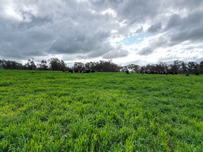 'Willowbank' Urana Road, Jindera