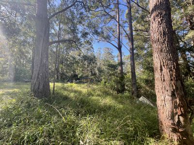 489 Davis Road, Jiggi