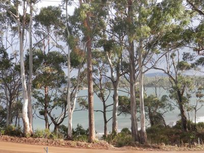 53 Williams Road, Randalls Bay